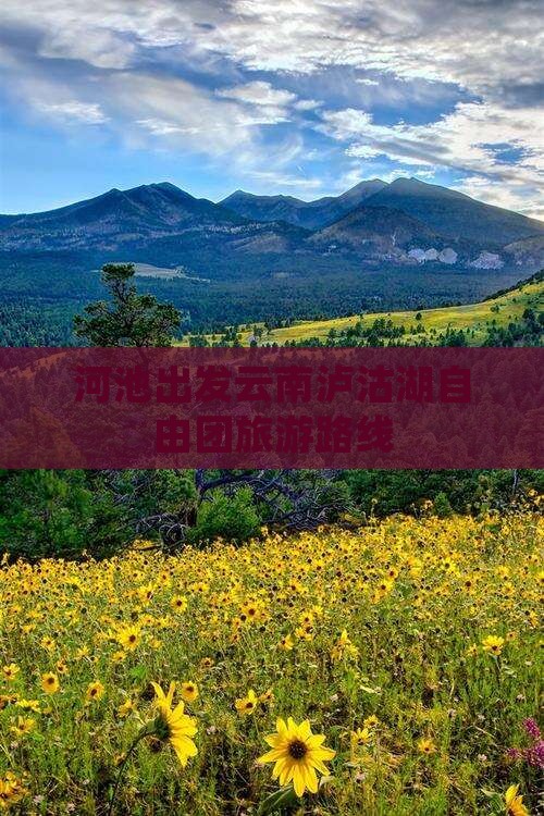 河池去云南泸沽湖自由团