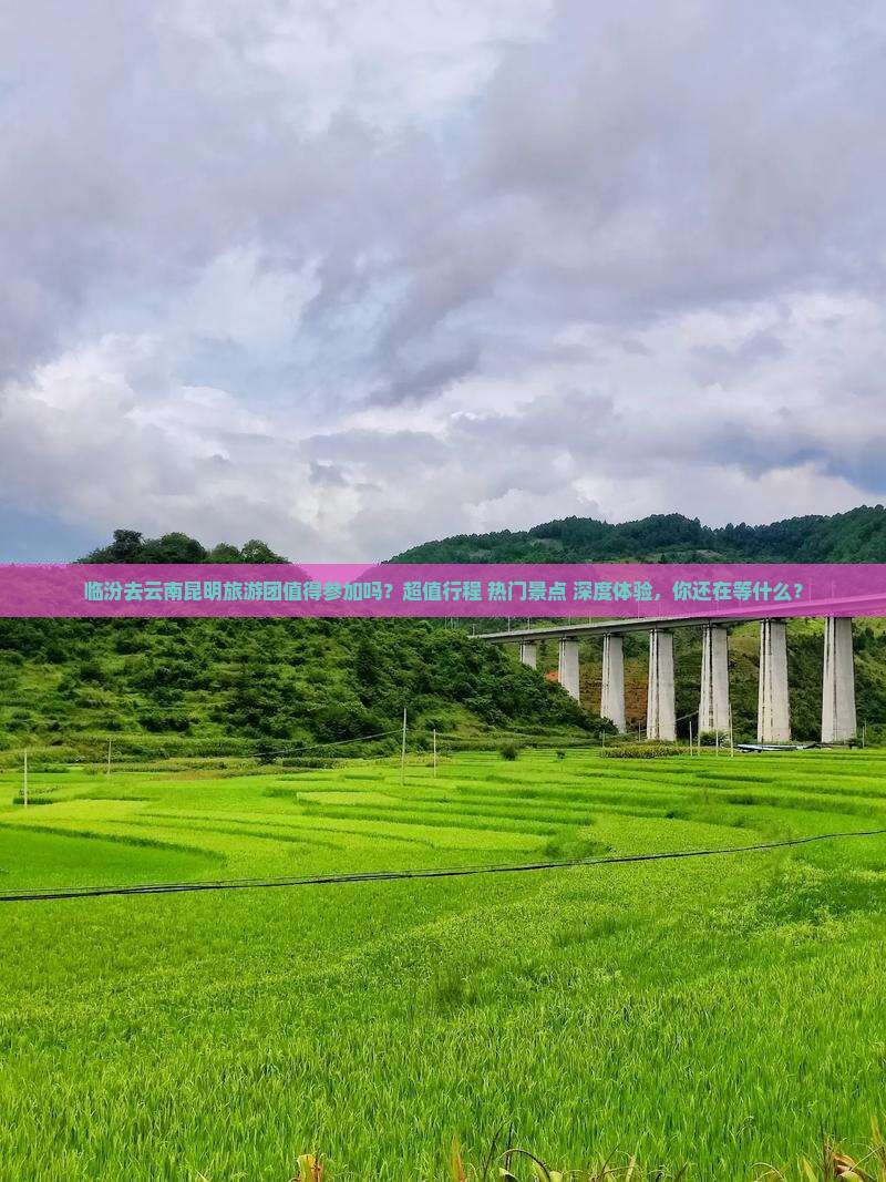 临汾去云南昆明大型旅游团