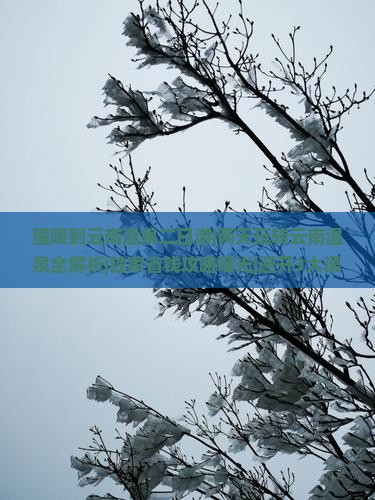 醴陵到云南温泉二日游