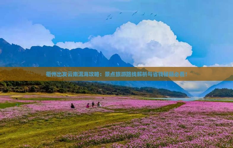 衢州去云南洱海攻略