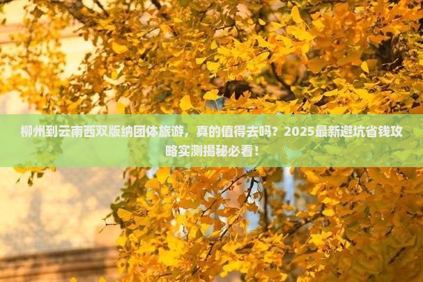 柳州到云南西双版纳团体旅游