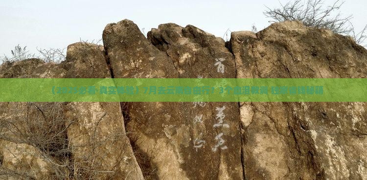 七月到云南自由团 七月到云南自由团