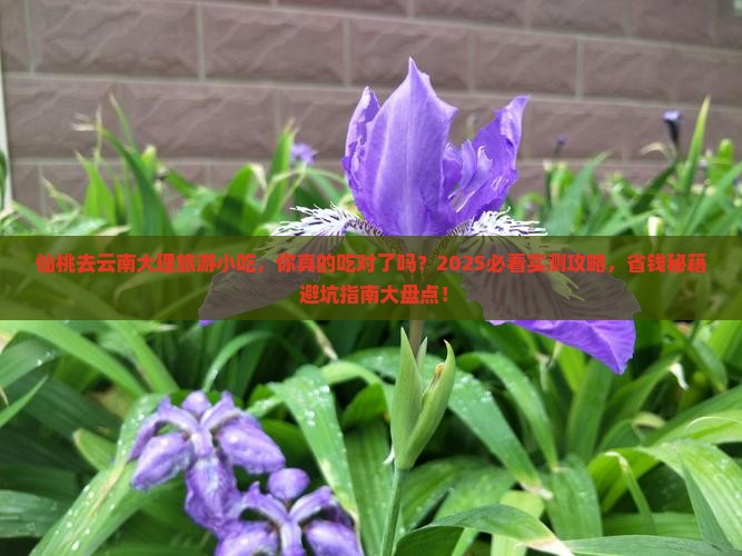 仙桃去云南大理旅游小吃