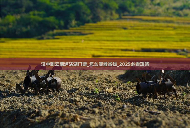 汉中到云南泸沽湖门票