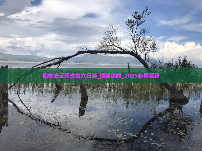 仙桃去云南古城六日游