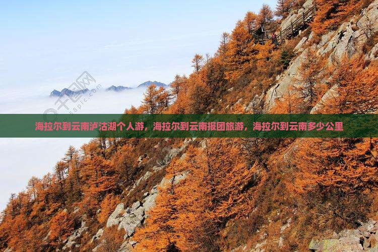 海拉尔到云南泸沽湖个人游