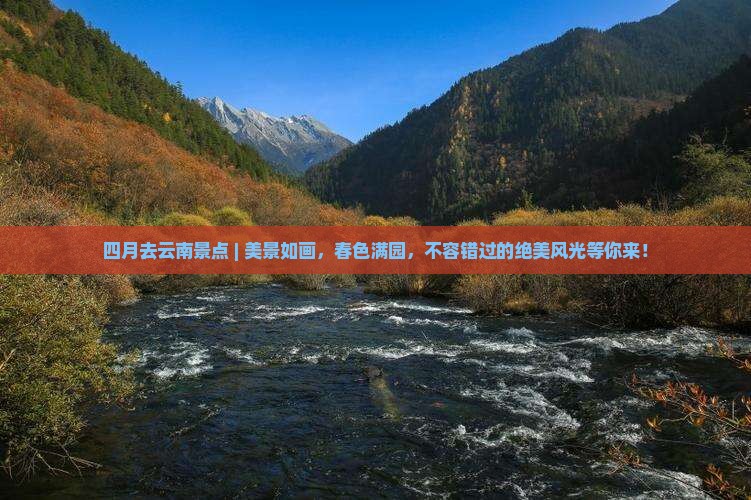 四月去云南景点