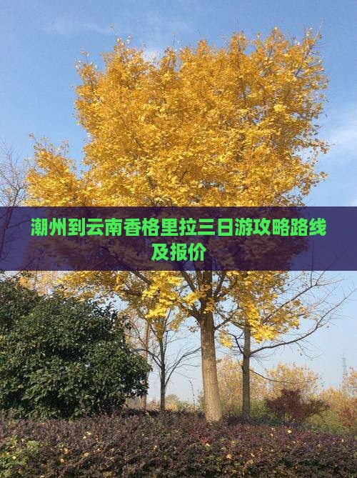 潮州到云南香格里拉三日游 潮州到云南香格里拉三日游