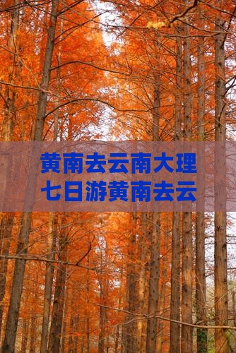 黄南去云南大理七日游
