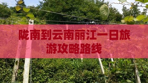 陇南到云南丽江一日
