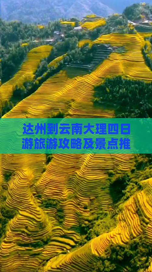 达州到云南大理四日游