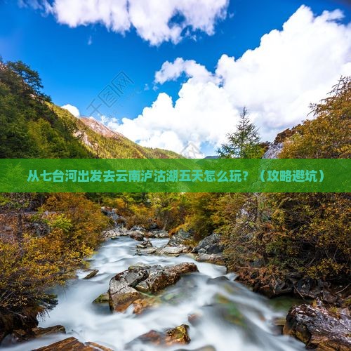 七台河到云南泸沽湖五日游