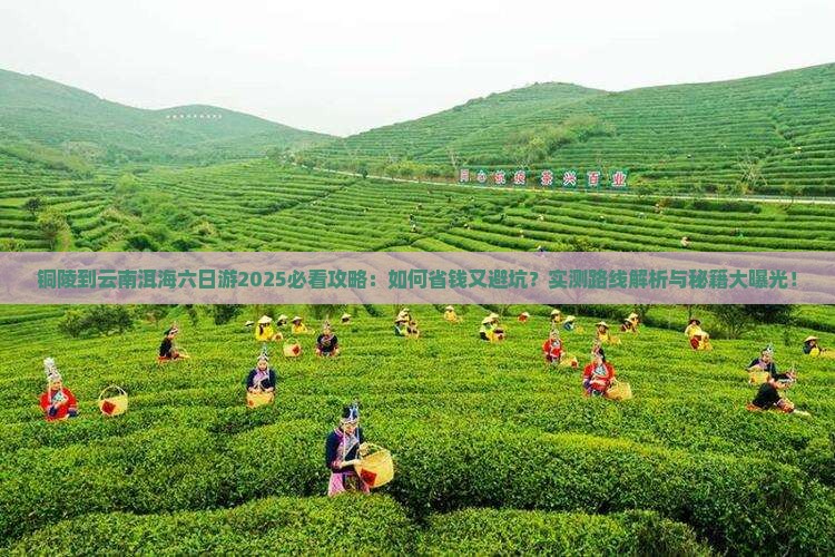铜陵到云南洱海六日游