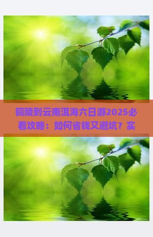 铜陵到云南洱海六日游