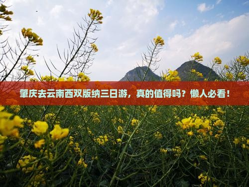 肇庆去云南西双版纳三日游