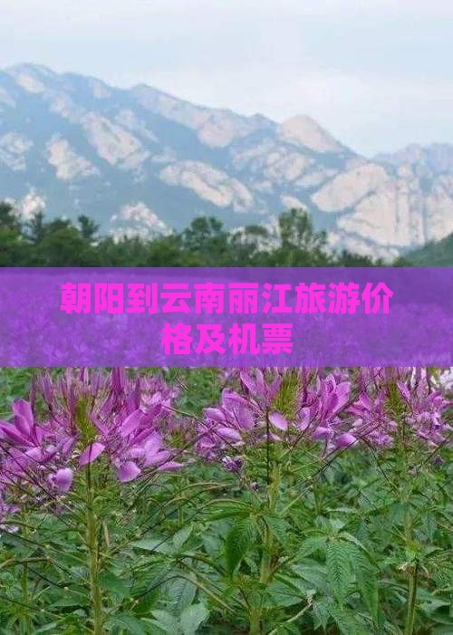 朝阳到云南丽江门票 朝阳到云南丽江门票