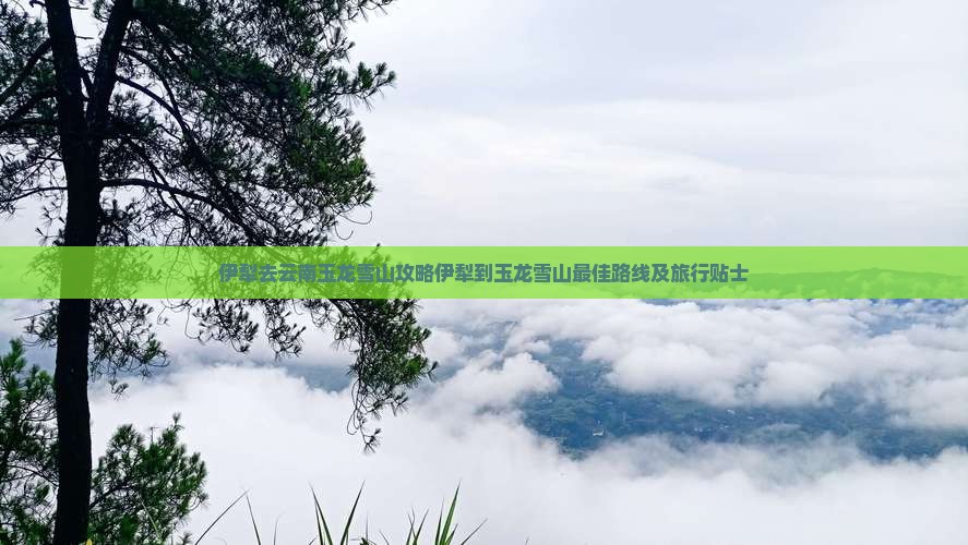伊犁去云南玉龙雪山攻略