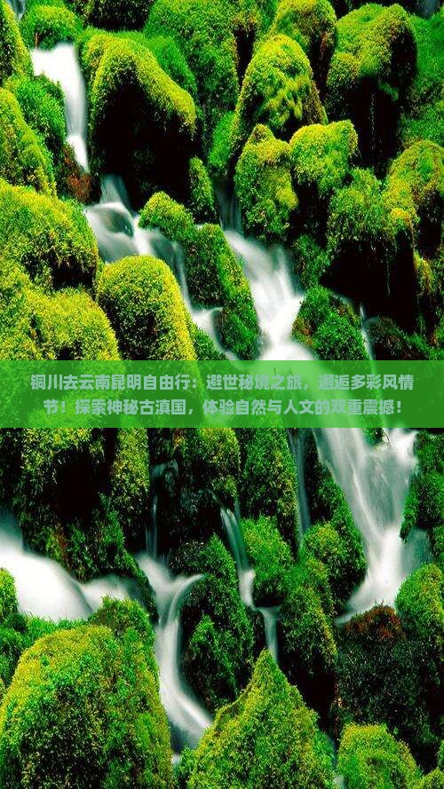 铜川去云南昆明自由行