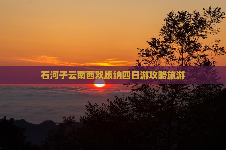 石河子去云南西双版纳四日游