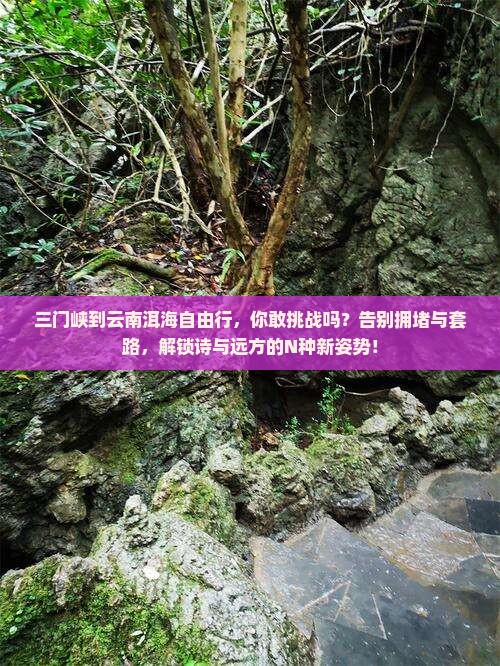 三门峡到云南洱海自由行