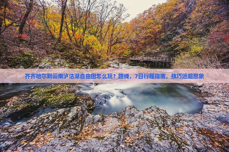 齐齐哈尔到云南泸沽湖自由团