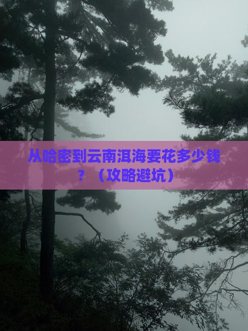 哈密到云南洱海门票