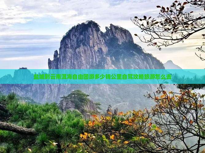 盐城到云南洱海自由团