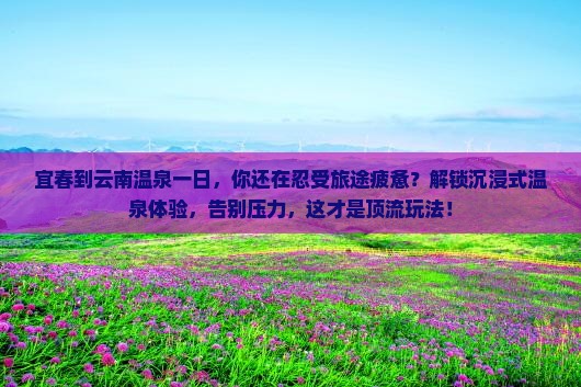宜春到云南温泉一日