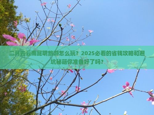 二月到云南昆明团体旅游