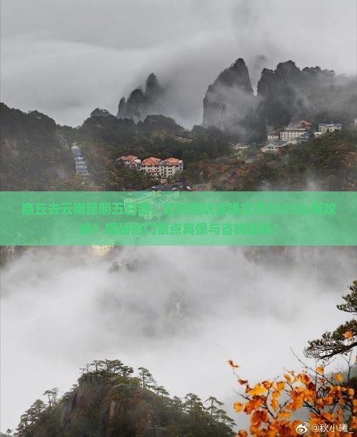 商丘去云南昆明五日游