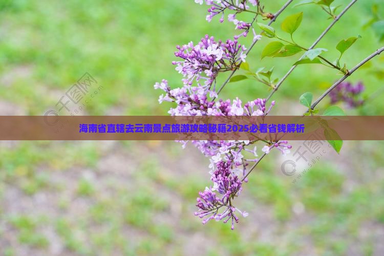 海南省直辖去云南景点