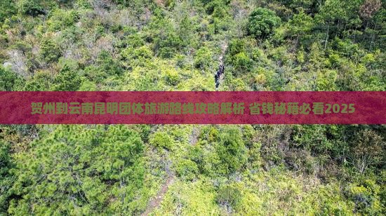 贺州到云南昆明团体旅游