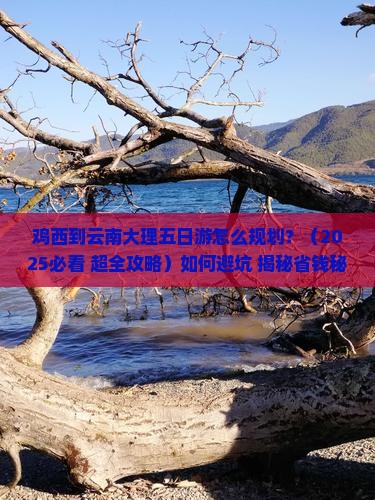 鸡西到云南大理五日游 鸡西到云南大理五日游