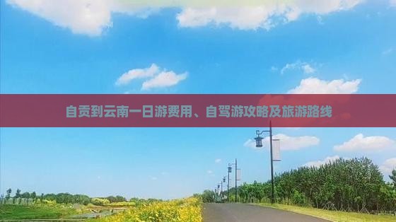 自贡到云南一日