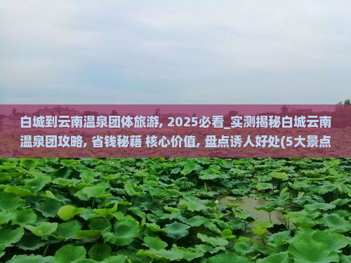 白城到云南温泉团体旅游