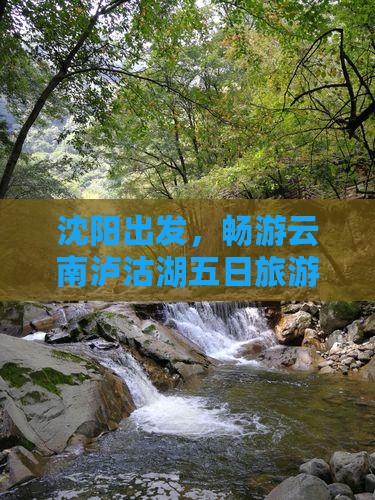 沈阳到云南泸沽湖五日游