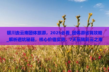 银川去云南团体旅游