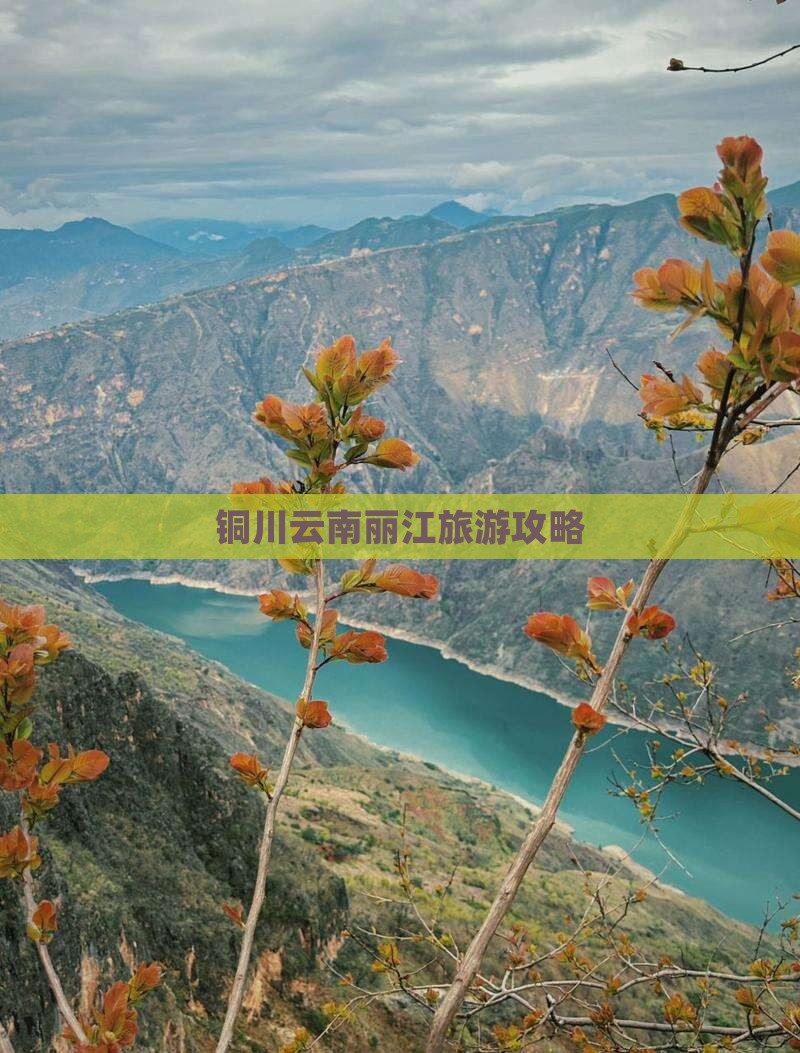 铜川去云南丽江个人游