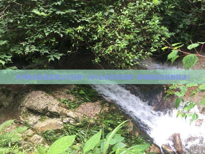 泸州到云南玉龙雪山六日游