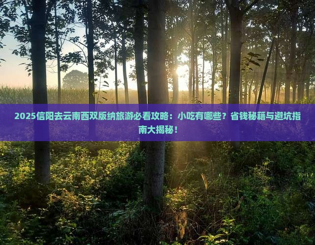 信阳去云南西双版纳旅游小吃