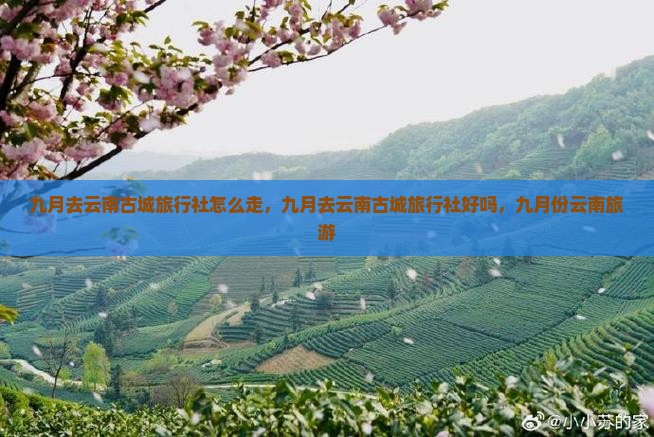 九月去云南古城旅行社