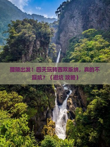 醴陵到云南西双版纳四日游