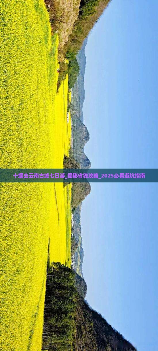 十堰去云南古城七日游