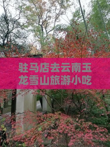 驻马店去云南玉龙雪山旅游小吃