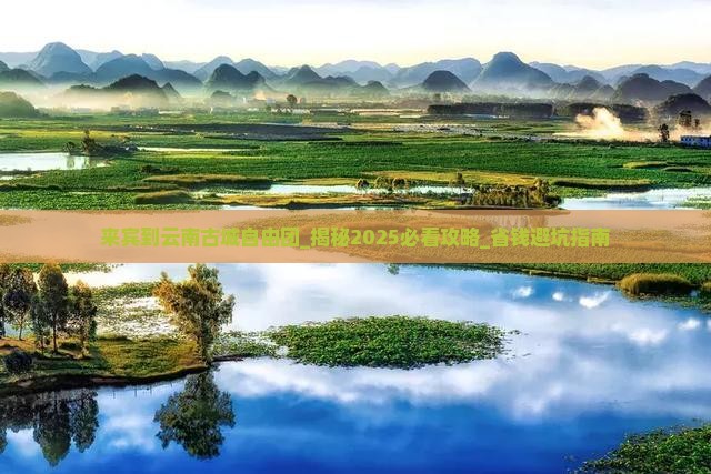 来宾到云南古城自由团