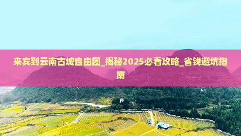 来宾到云南古城自由团