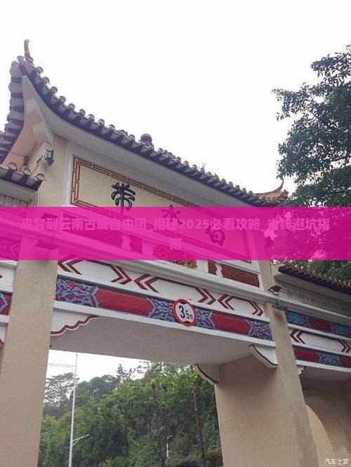 来宾到云南古城自由团
