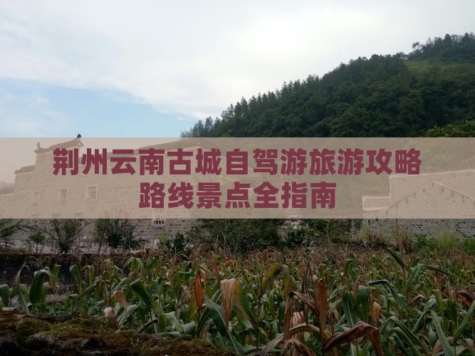 荆州到云南古城攻略