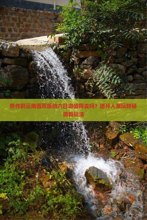 焦作到云南西双版纳六日游