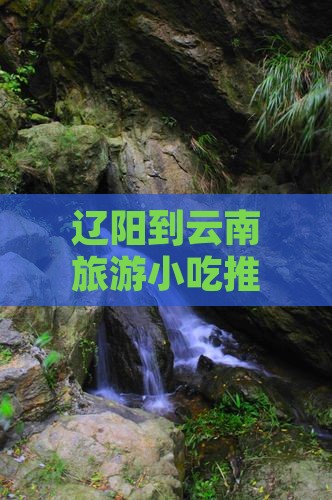 辽阳到云南旅游小吃